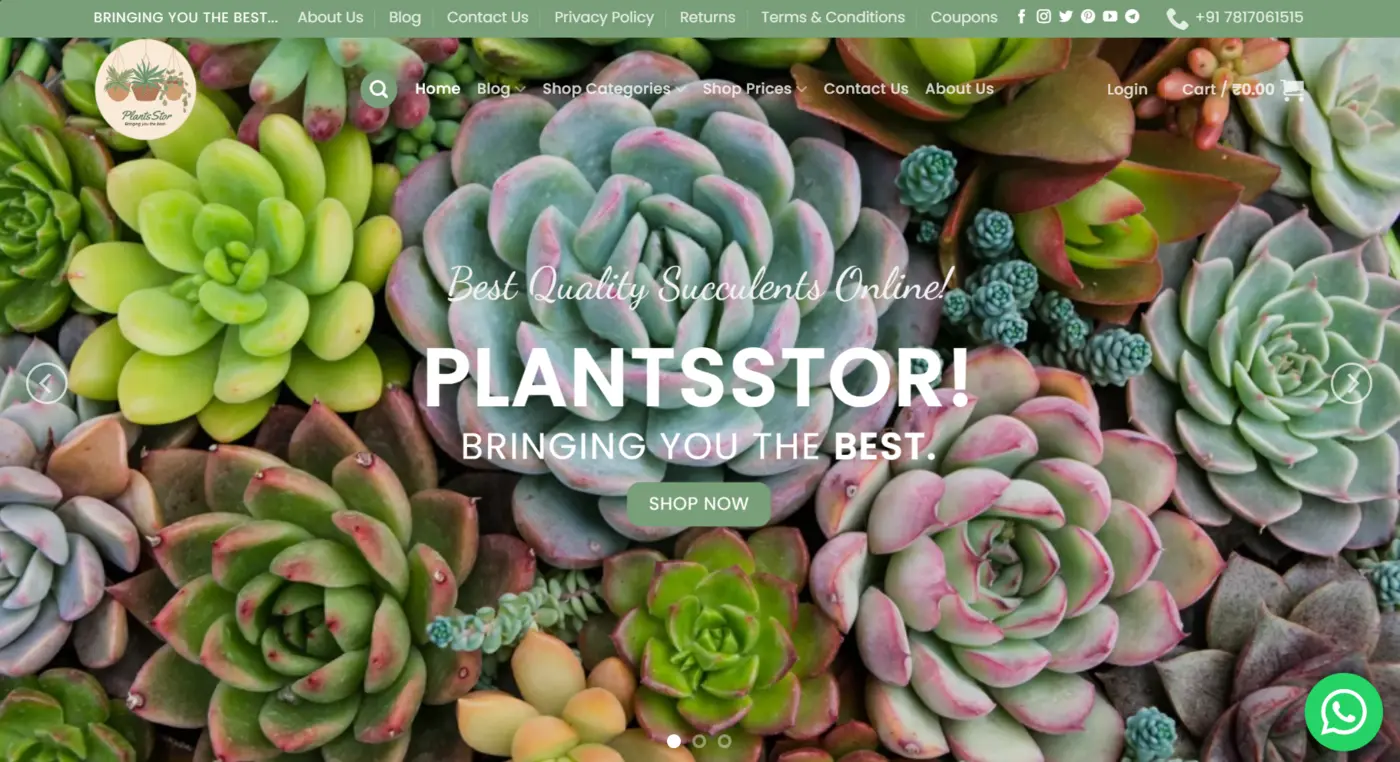 PlantsStor website project